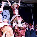 Image description
