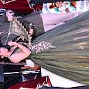 Image description